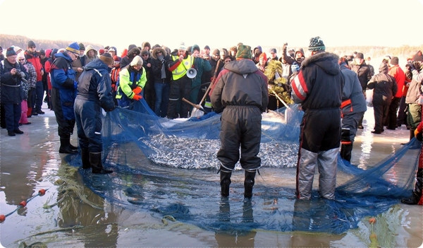 Rl_5.3.2011_600