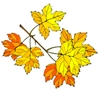 Ruskavaellus